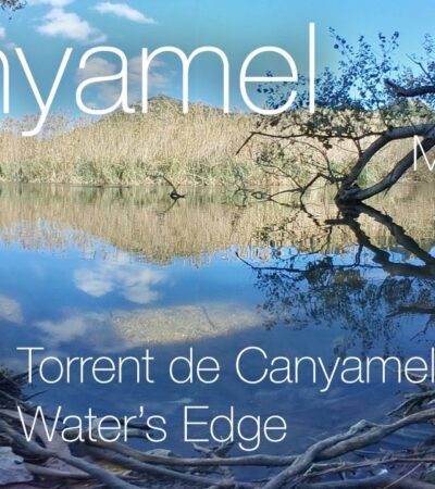 Mallorca 360º Canyamel Torrent Water’s Edge 4K VR Mallorca 360º Canyamel Torrent Water’s Edge 4K VR