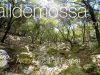 Mallorca 360º Valldemossa Lower Archduke Trail Forest 4K VR
