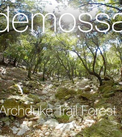 Mallorca 360º Valldemossa Lower Archduke Trail Forest 4K VR
