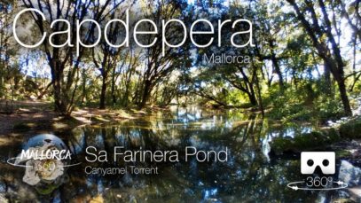 Mallorca 360 Sa Farinera Pond Canyamel Torrent Capdepera in 360º VR 4K