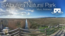 Mallorca 360 S’Albufera Natural Park in 360º 4K