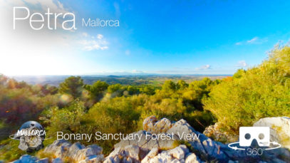 Mallorca 360 Bonany Sanctuary Forest View in Petra, Mallorca in 360º 4K