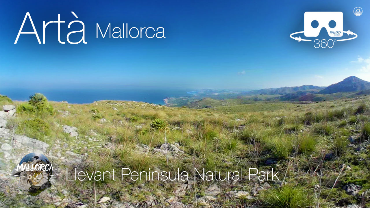 Sa Tudossa Road, Llevant Peninsula Natural Park, Artà, Mallorca in 360º VR 4K | Mallorca360