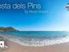 Sa Marjal Beach Costa dels Pins Son Servera Mallorca in 360º VR 5K
