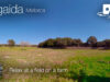 Relax at a field on a farm in Algaida, Mallorca in 360º VR 5K