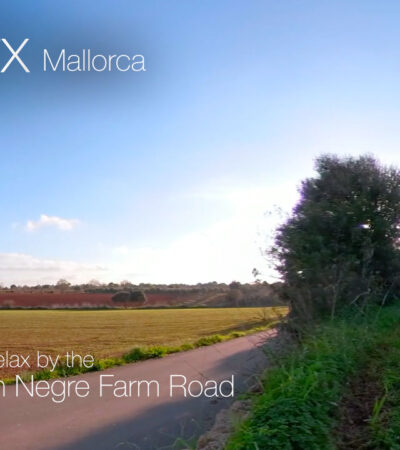 Relax by the Son Negre Farm Road in Felanitx Mallorca in 360º VR 5K