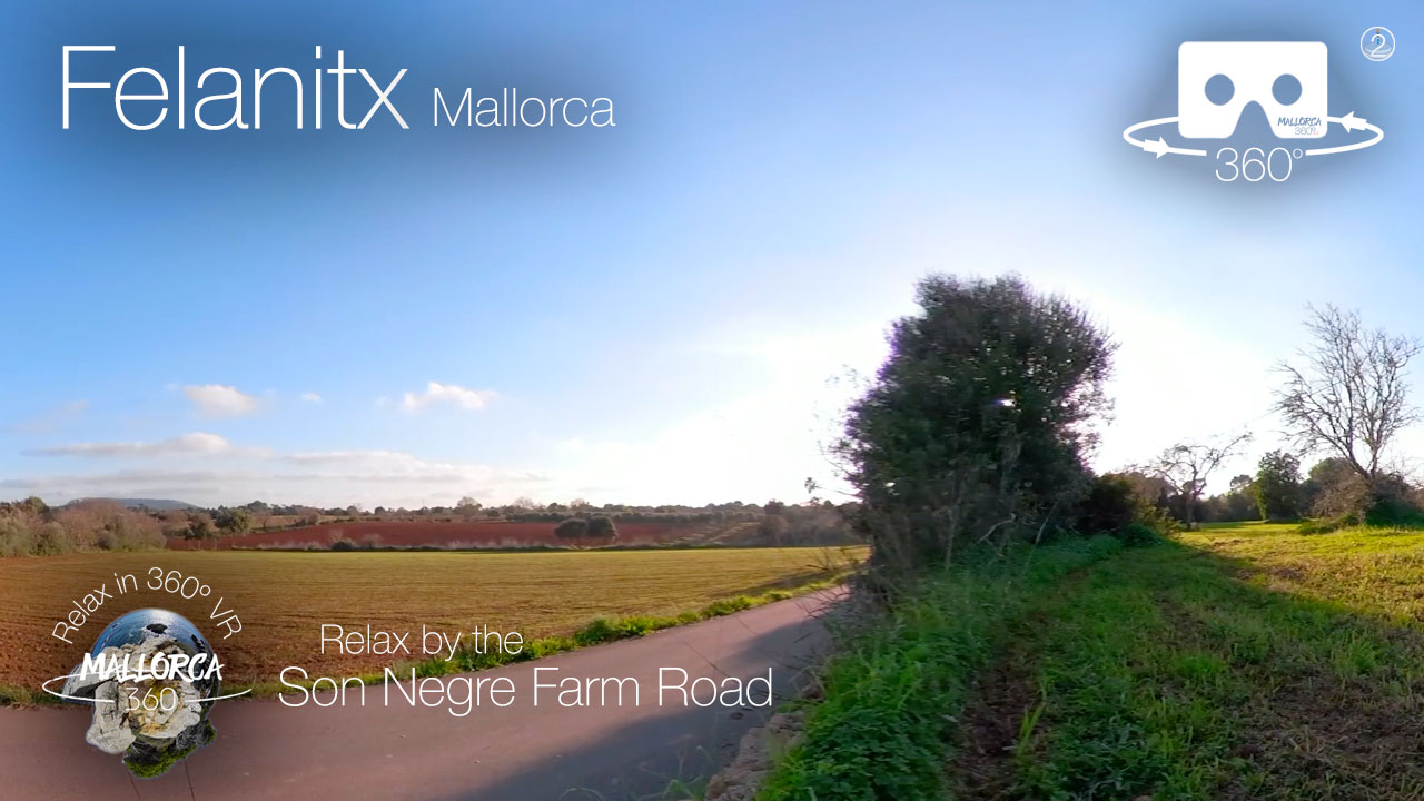Son Negre Farm Road in Felanitx Mallorca in 360º VR 5K
