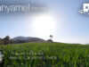 Relax at the Canyamel Fields with the One Tree in 360º VR 5K