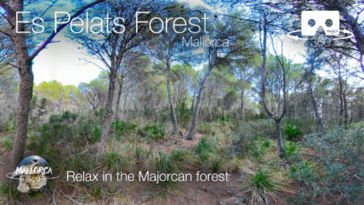 Es Pelats forest in Cala Ratjada, Mallorca in 360º VR 5K