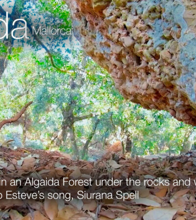 Relax in an Algaida Forest under the rocks with music in 360º VR 5K | Mallorca 360
