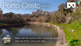 Torrent de Llabrona water torrent with ducks in Porto Cristo, Mallorca in 360º VR 5K