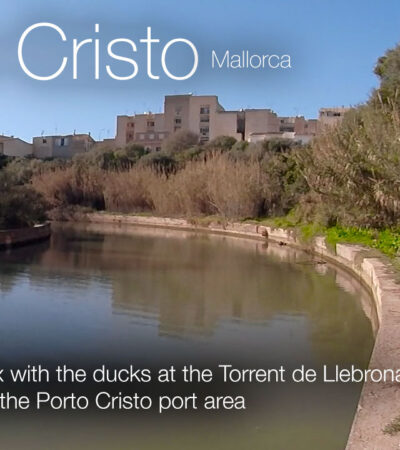 Torrent de Llabrona water torrent with ducks in Porto Cristo, Mallorca in 360º VR 5K