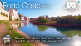 Torrent de Llebrona – Relax with the ducks in Porto Cristo in 360º VR
