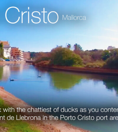 Relax with the chattiest ducks at Torrent de Llebrona in Porto Cristo, Mallorca in 360º VR 5K