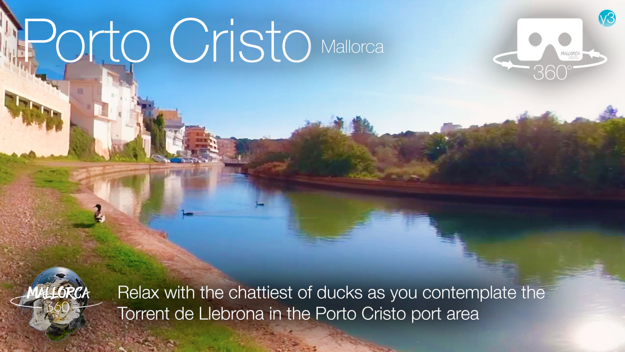 Torrent de Llebrona - Relax with the ducks in Porto Cristo in 360º VR