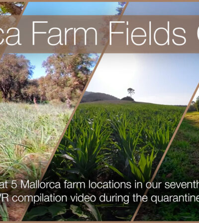 5 Mallorca Farm Locations in our 7th Quarantine Compilation 360º VR video
