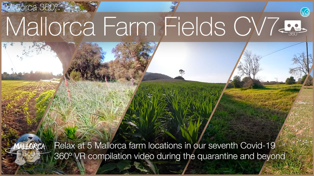 5 Mallorca Farm Locations in our 7th Quarantine Compilation 360º VR video