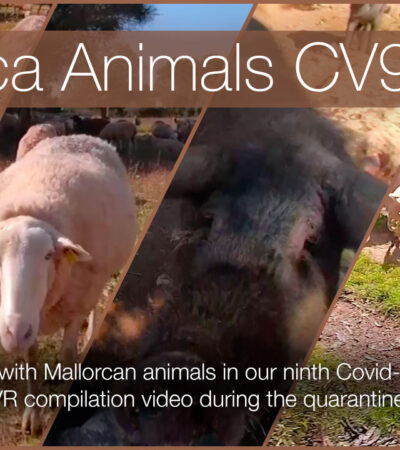 Mallorcan Animals in 360º with our 9th Quarantine Compilation in 360º VR