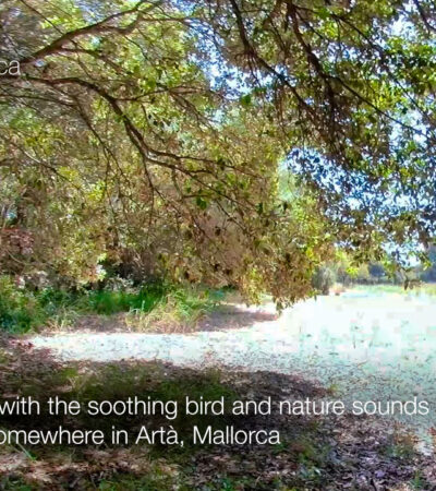 Farm field in Artà Mallorca in 360º VR 5K
