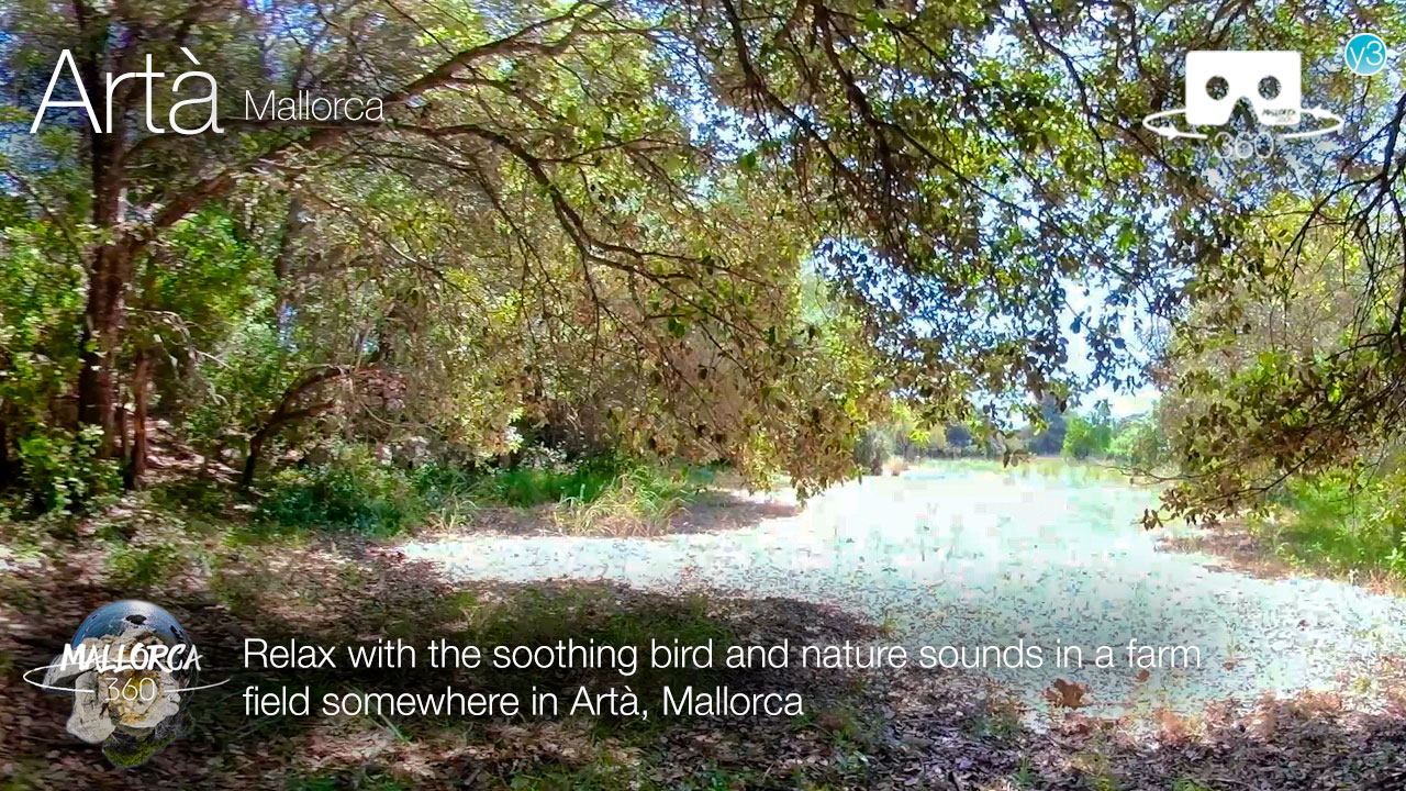 Relax at a farm field in Artà, Mallorca in 360º VR