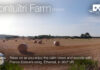 Relax on a Montuïri Farm with Franco Esteve’s music in Montuïri, Mallorca in 360º VR
